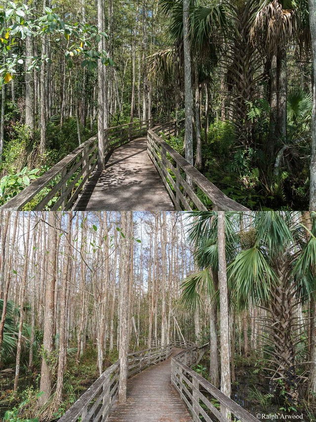Irma-Before-After-07e