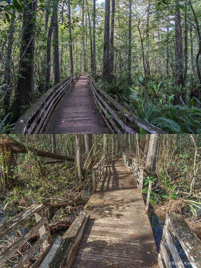 Irma-Before-After-14e