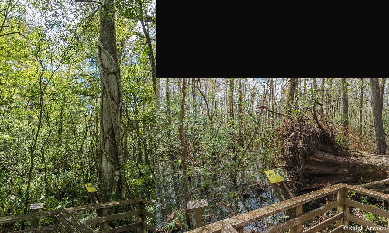 Irma-Before-After-41e
